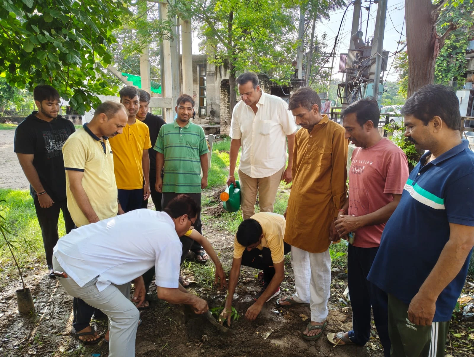 Volunteers watering a freshly planted sapling